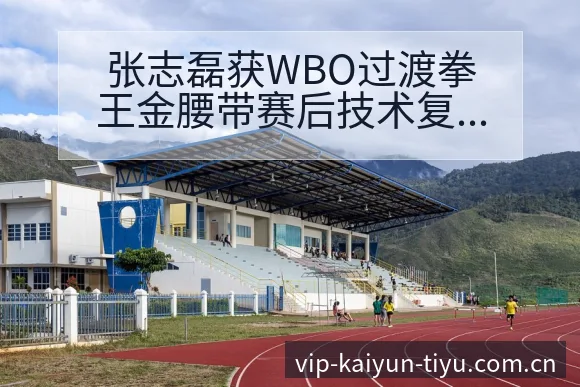 张志磊获WBO过渡拳王金腰带赛后技术复盘与关键变化分析 - 开云体育