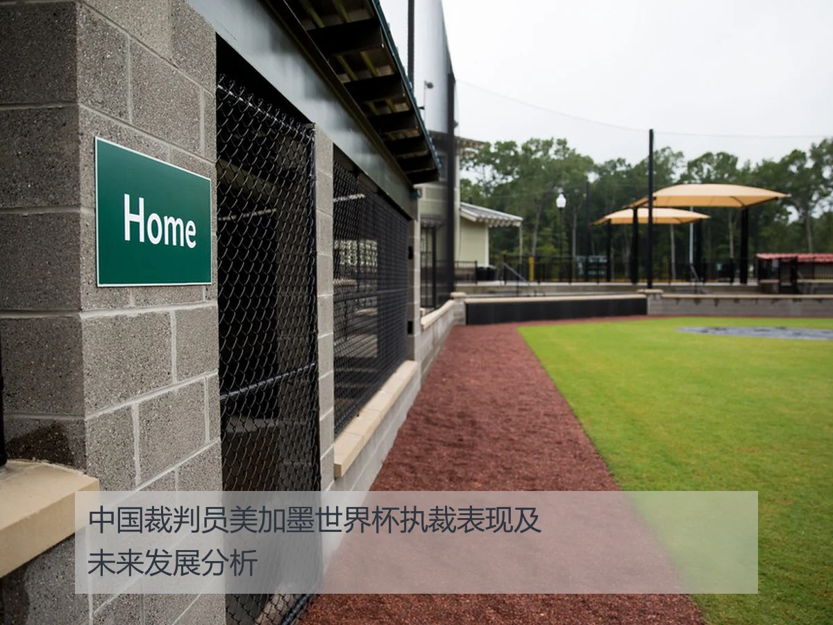 中国裁判员美加墨世界杯执裁表现及未来发展分析